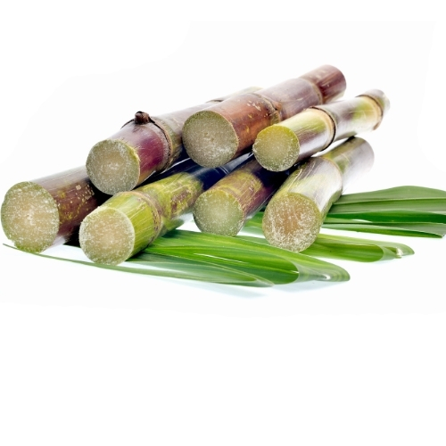 Sugarcane 1kg