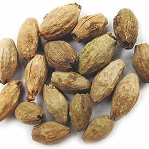 Neem Seeds (150g)