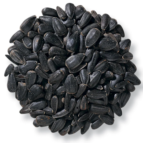 Black Sunflower Seeds (150g)
