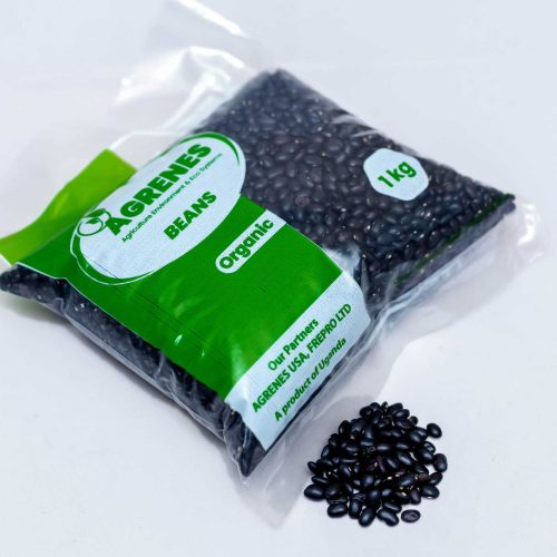 Black Turtle Beans 1kg