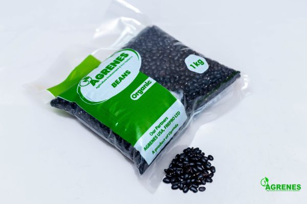 Black Turtle Beans 1kg