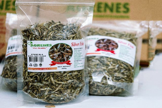 A-Silver-Fish-Dry-1.jpg Red Beabs Nambaale Box 10pcs