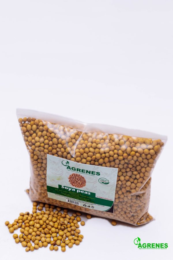 Soya Beans 1kg