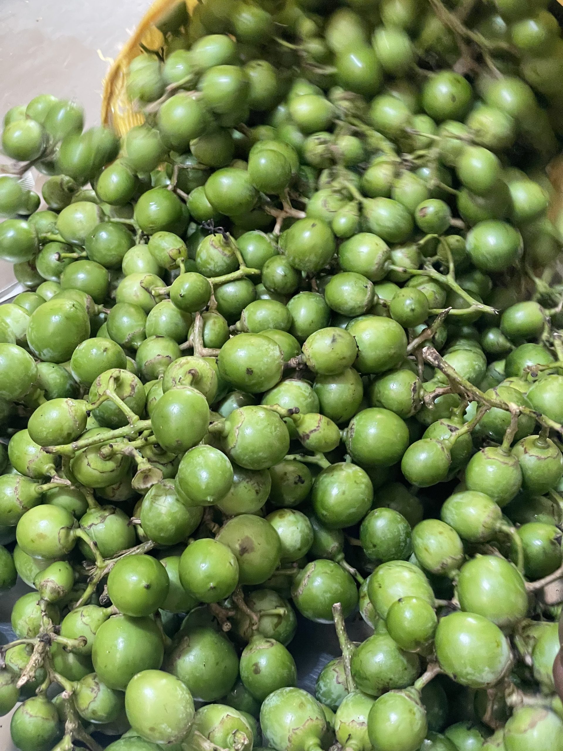 GUNDA 6kg