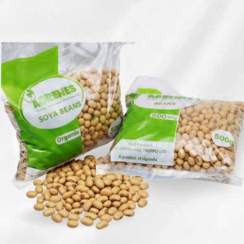Soya Beans 1kg