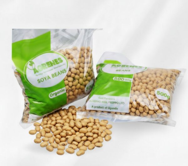 Soya Beans 1kg