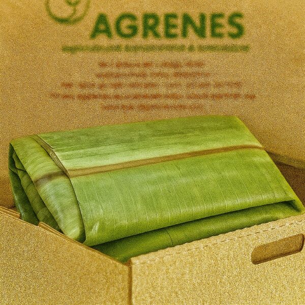 Mpombo Box (10 sheets)