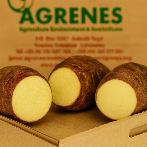 Yams 1kg