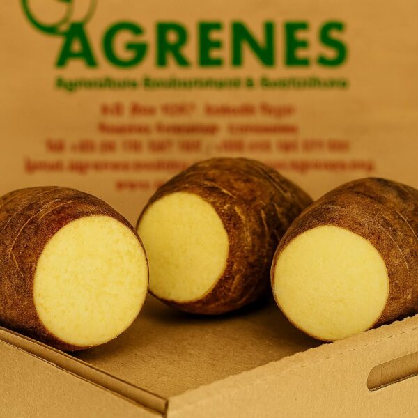 IMG-20250929-WA0006 Yams 1kg