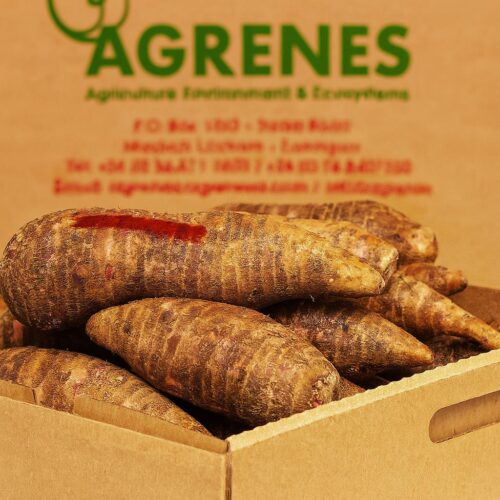 Coco Yams Box 7kg