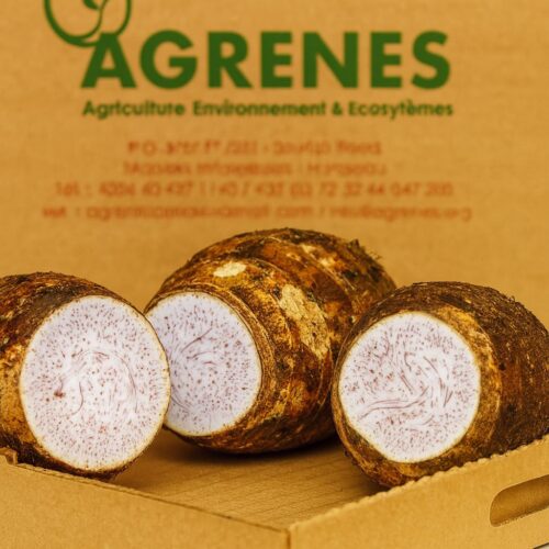 Ugandan Yams 1KG