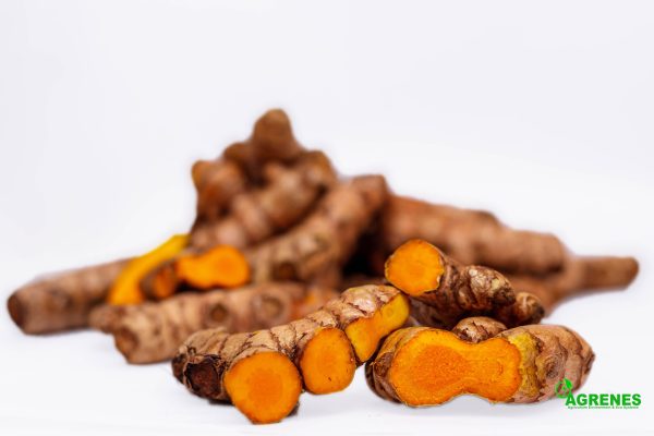 Fresh Turmeric 1kg