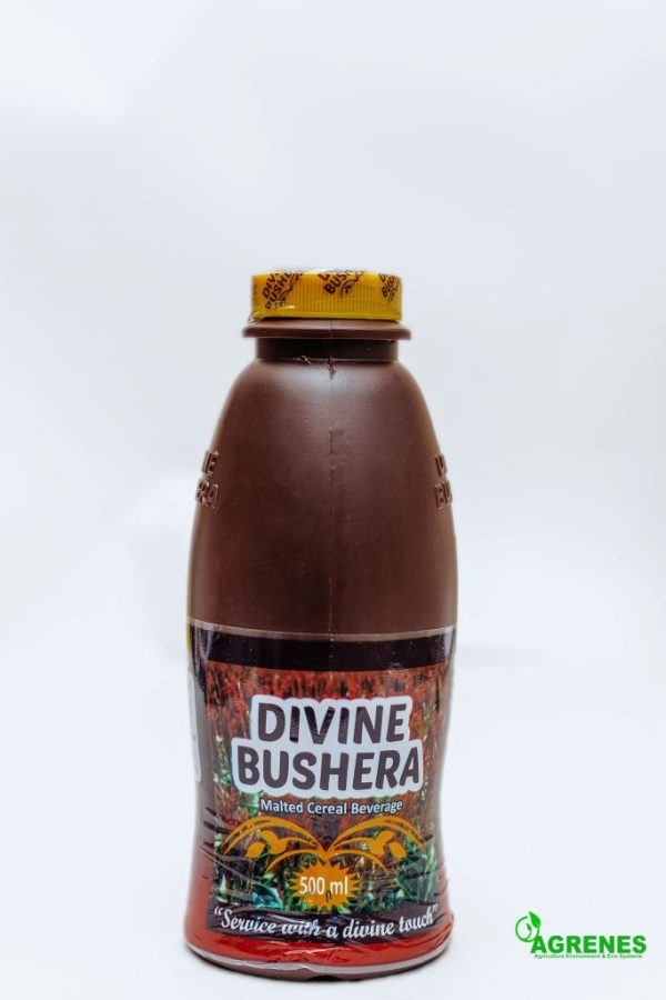 Divine Bushera Malt Cereal Beverage 500ml