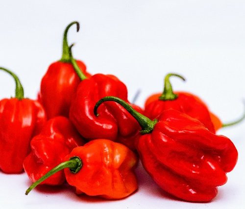 Hot Pepper Habanero 1kg