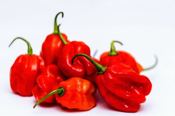 Hot Pepper Habanero 1kg