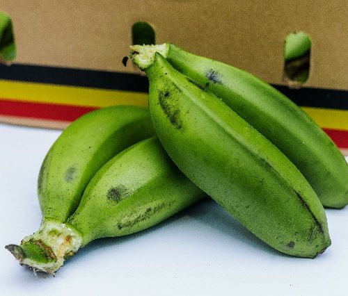 Fresh Bananas (Matooke) 1 kg