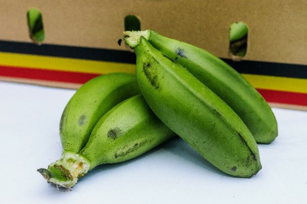 Fresh Bananas (Matooke) 1 kg