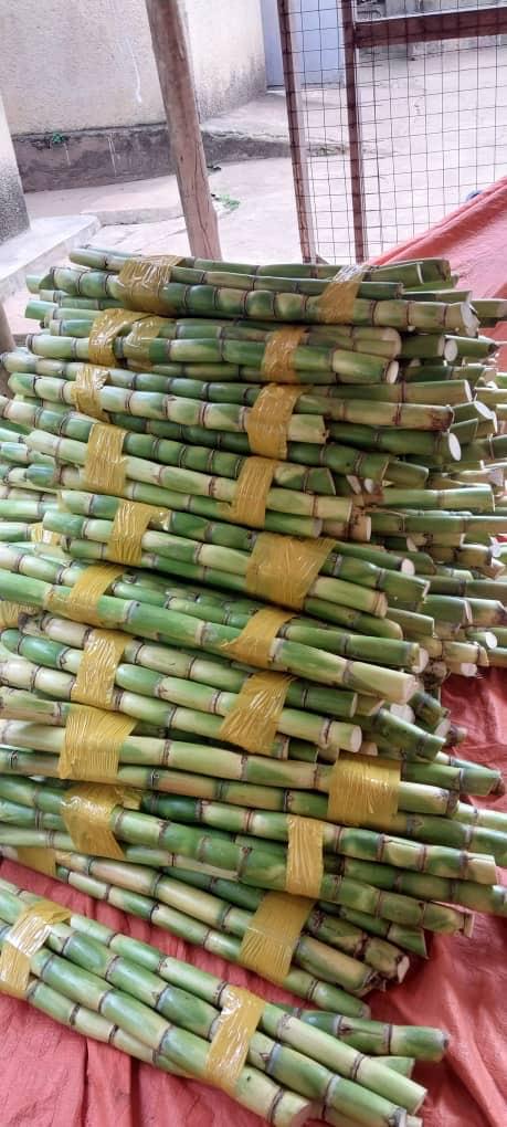 Sugarcane 1kg