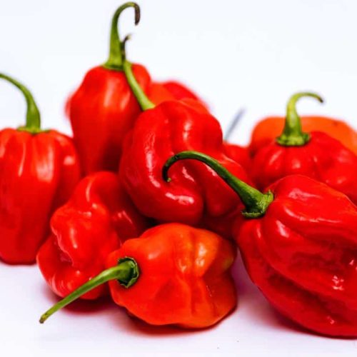 Habenero/hot peppers 1kg