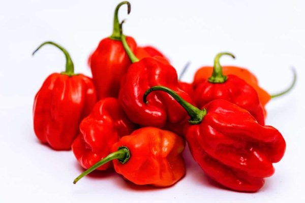 Habenero/hot peppers 1kg