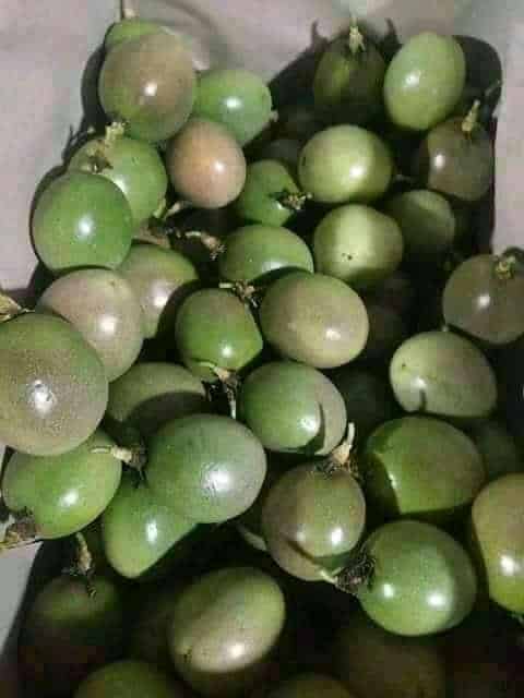 Passion fruits 1kg