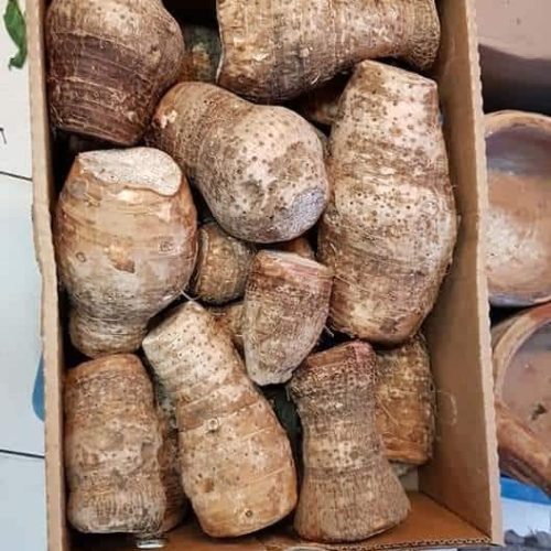 Coco Yams Box 7kg