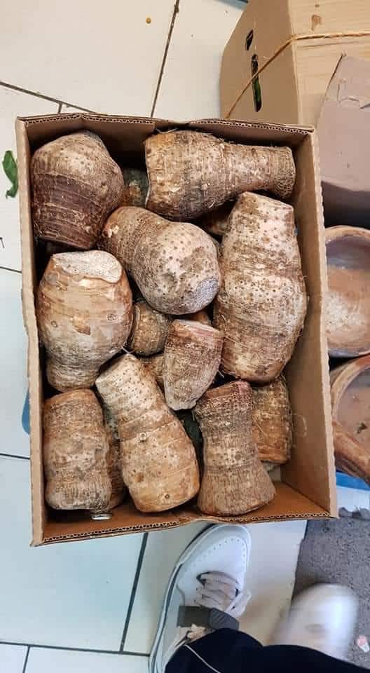 Coco Yams Box 7kg