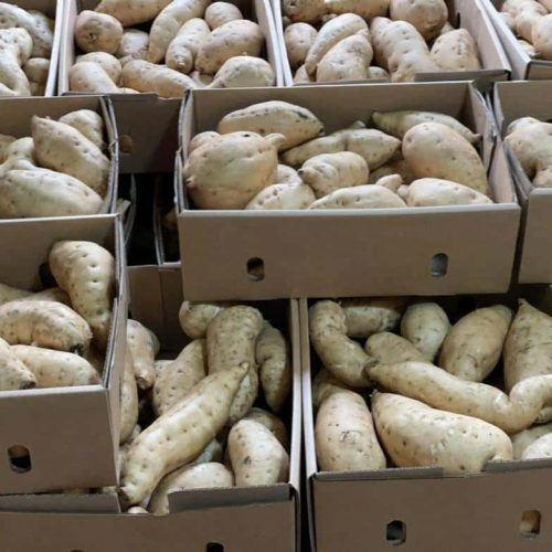 White sweet potatoes 1kg