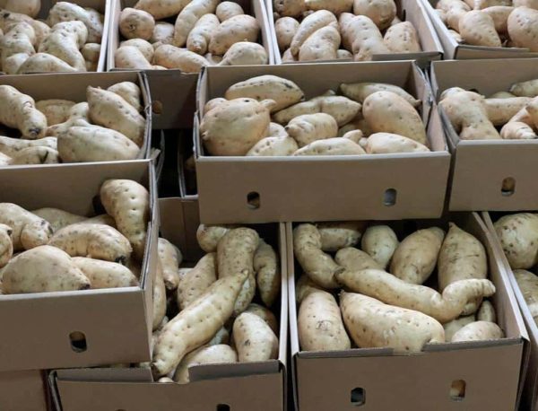 White sweet potatoes 1kg