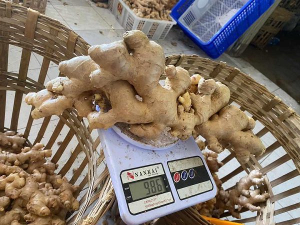 Ginger 1kg