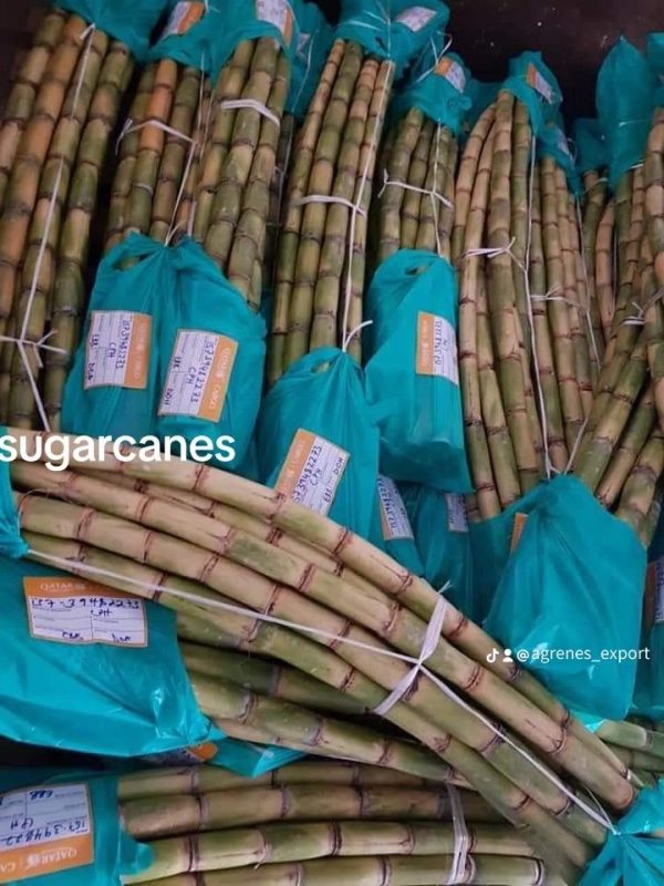 Sugarcane 1kg