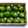 Jumbo Avocado 1kg