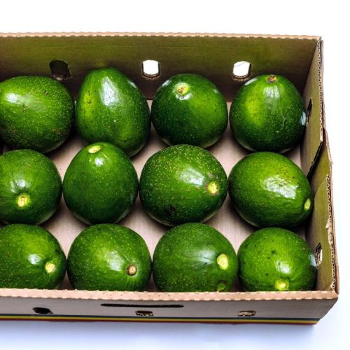 Avocado Box 8kg