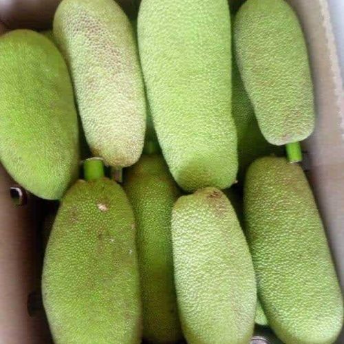 Jack fruit 1piece