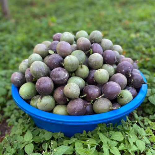Passion fruits 1kg