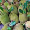 Jack fruit 1piece