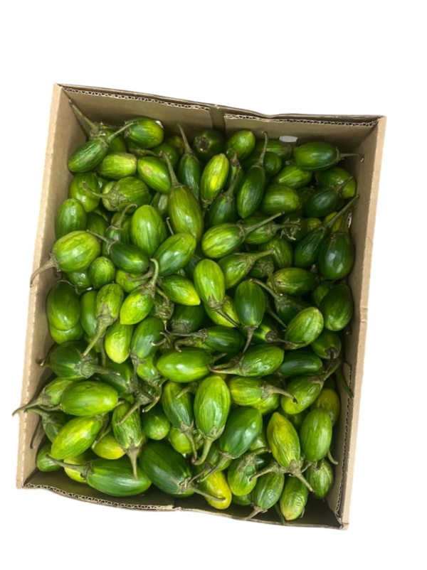 Green Garden Eggs 6kg