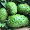 Sour Sop (Kitafeeri) 5KG Box