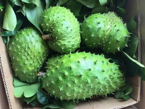 Sour Sop (Kitafeeri) 5KG Box