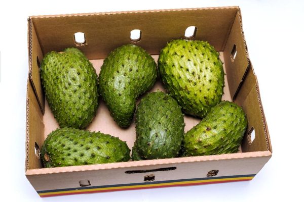 Sour Sop (Kitafeeri) 5KG Box