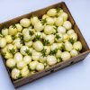 White Garden Eggs (Entula) 6kg