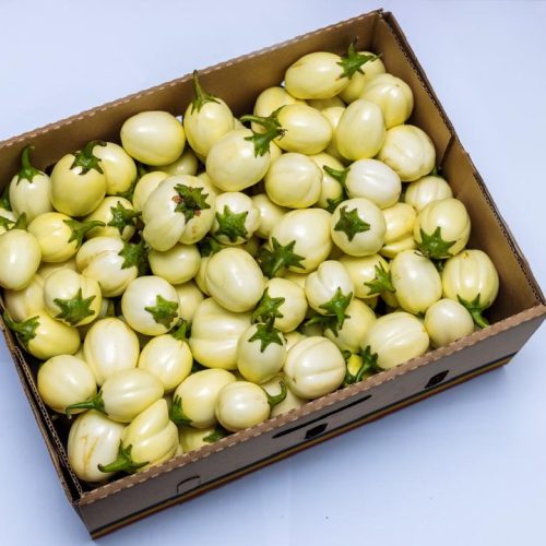 White Garden Eggs (Entula) 6kg