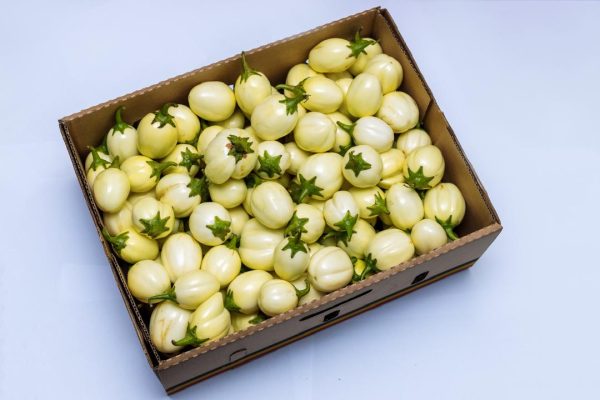 White Garden Eggs (Entula) 6kg