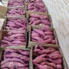 Sweet Red Potatoes 8kg