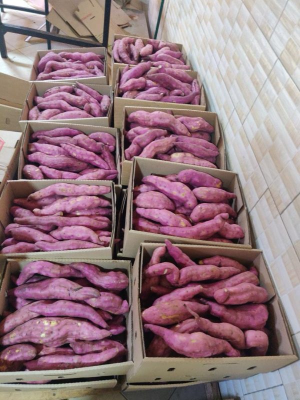 Sweet Red Potatoes 8kg
