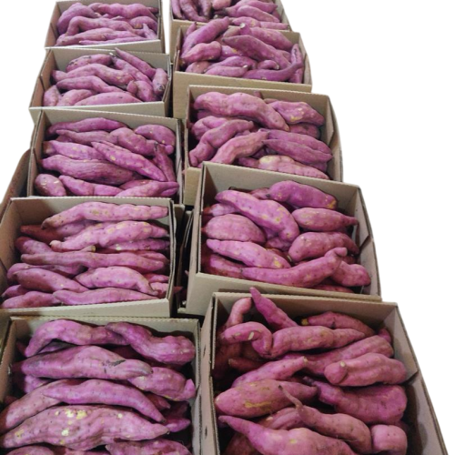Sweet Red Potatoes 8kg
