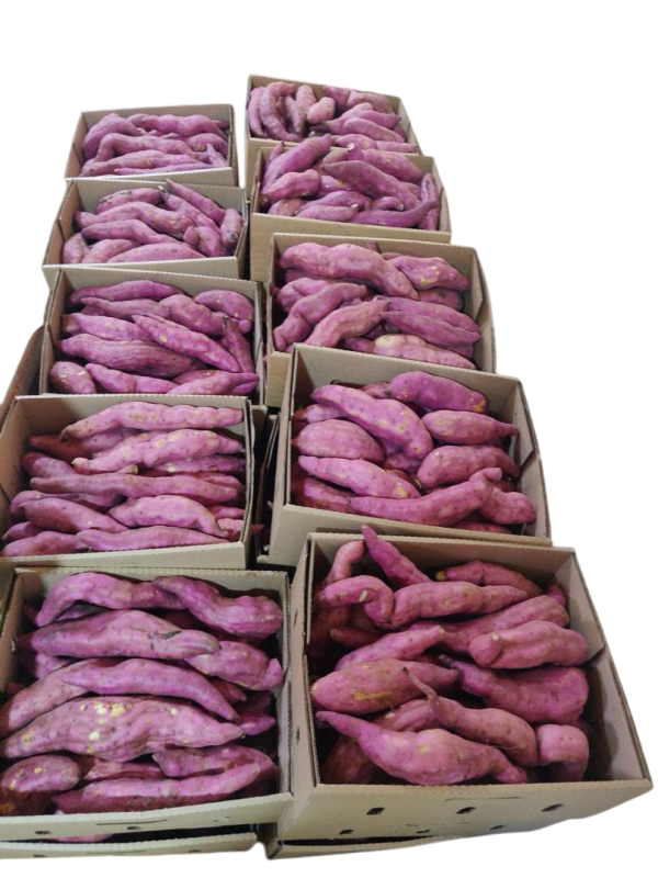 Sweet Red Potatoes 8kg