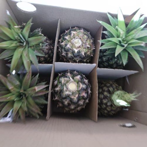 Pineapple Box 6pcs