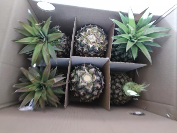 Pineapple Box 6pcs