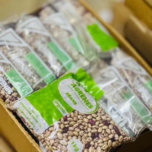 Assorted dry beans (masavu beans) Box (10pcs)